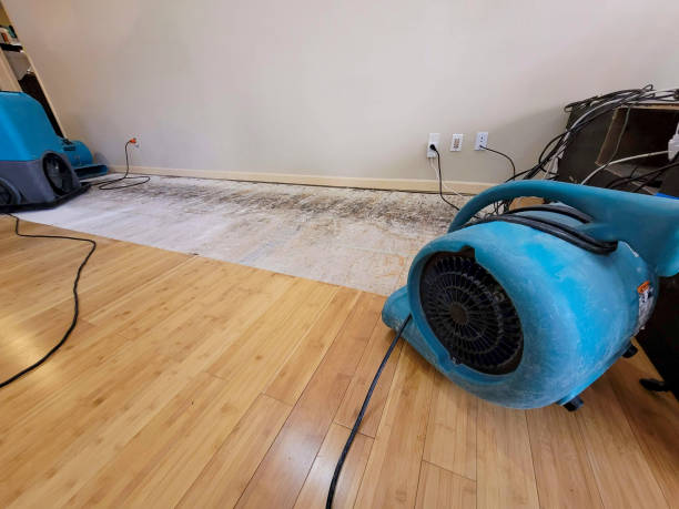 Professional Structural Drying technician working in Colchester, CT